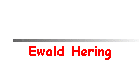 Ewald Hering