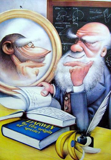 Darwin allo specchio Darwin allo specchio