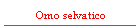 Omo selvatico