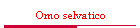 Omo selvatico