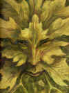 Fee99.jpg (73038 byte)