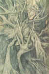 wpe6.jpg (61518 byte)
