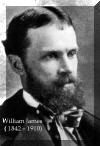 William James ( 1842  1910)