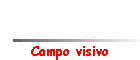Campo visivo