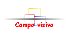 Campo visivo