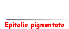 Epitelio pigmentato