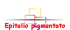 Epitelio pigmentato