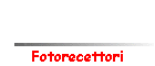 Fotorecettori