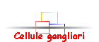Cellule gangliari