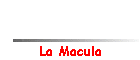 La Macula